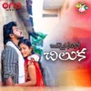 About Andhamaina Seethakoka Chiluka Song